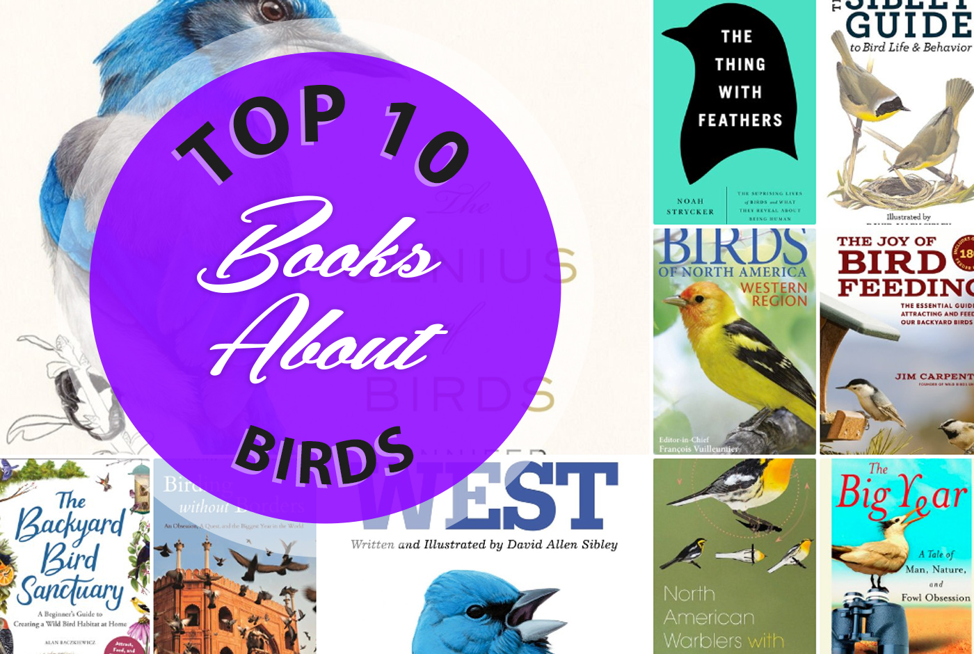 Highly recommended books about birds