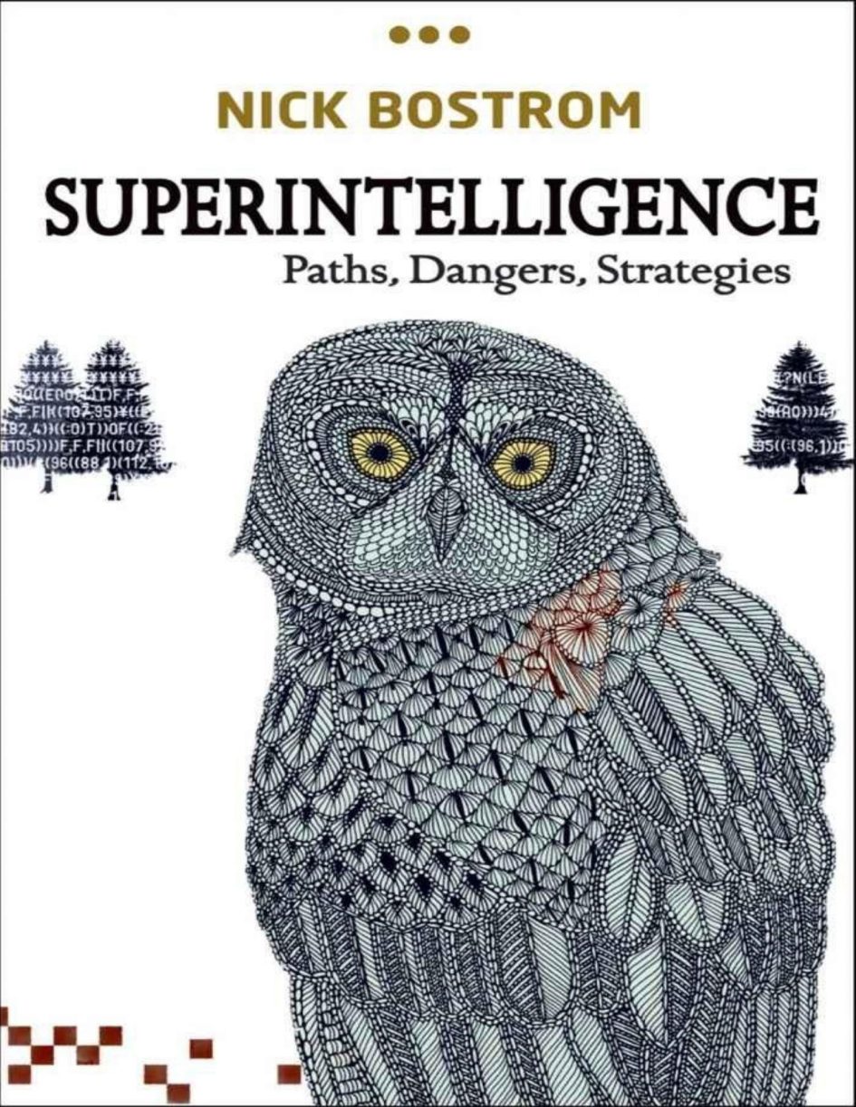 Superintelligence: Paths